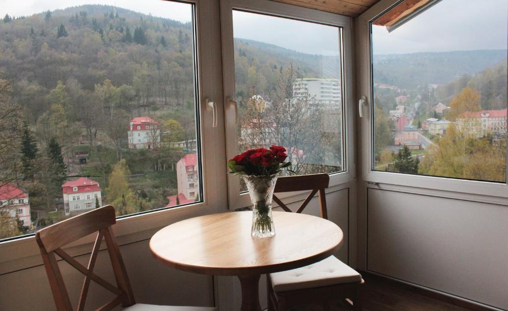 a vase of flowers on a table in a room with windows at Hotel Orix in Jáchymov