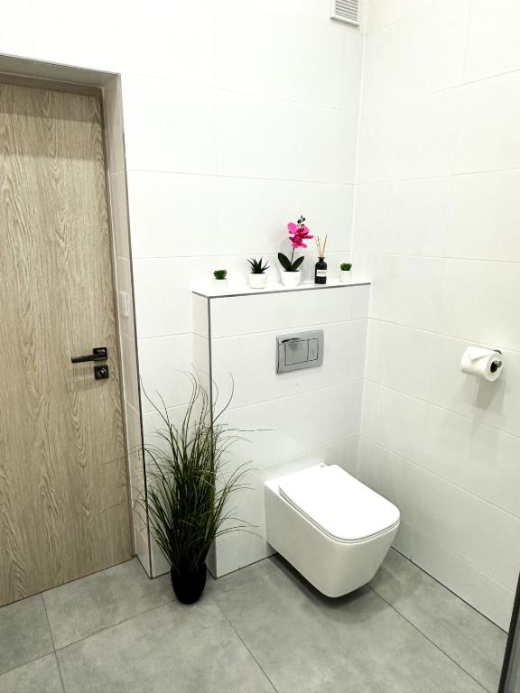Uma casa de banho em VIBE S32 Apartman,AC,Free Parking