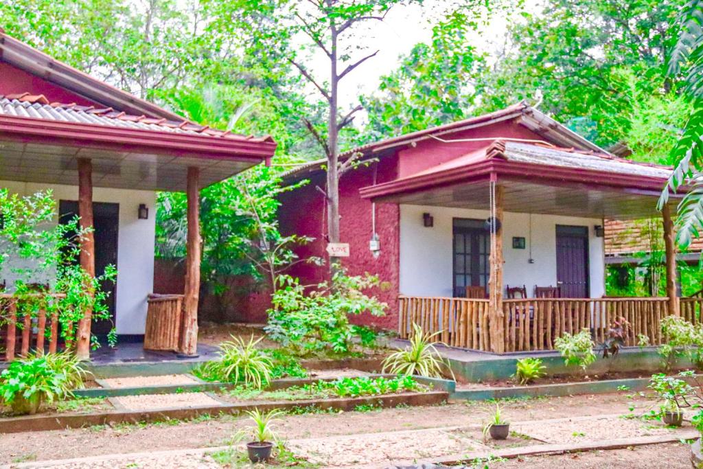 La Casa Safari Resort - 17