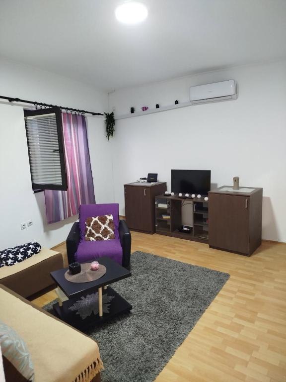 TV a/nebo společenská místnost v ubytování Milić