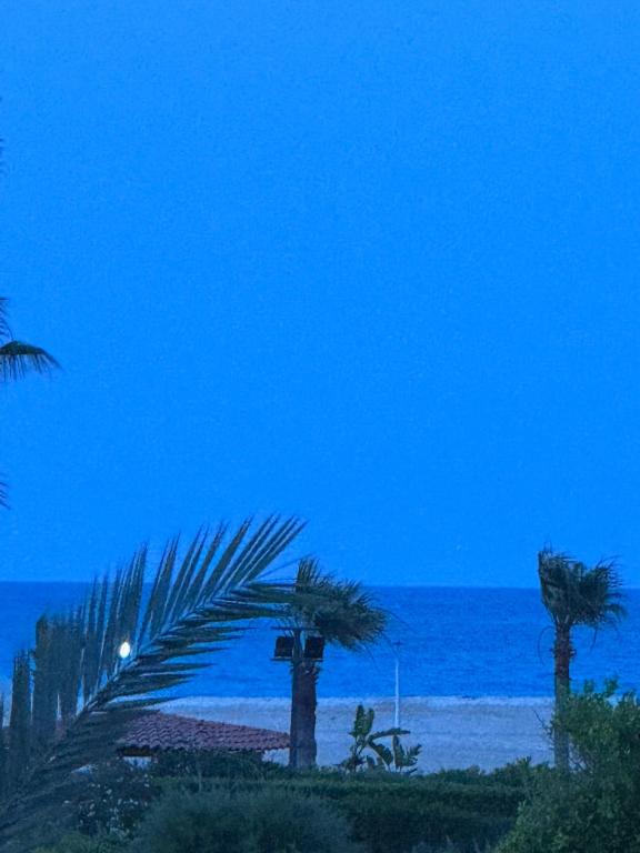 two palm trees on the beach at night at قصر الأحلام فيلا أول سكن بمسبح خاص ومساحة 2000 متر in El Alamein