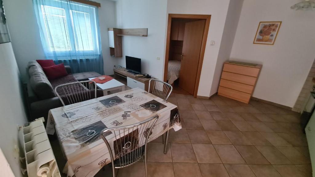 TV a/nebo společenská místnost v ubytování Apartments STRUNAJN