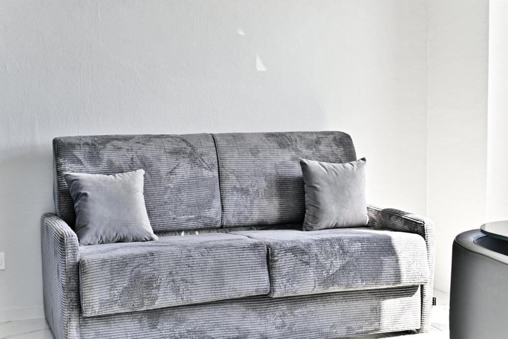 - un canapé avec deux oreillers dans l'établissement Magnifique 2 pieces aux portes de Paris- II, à Gagny