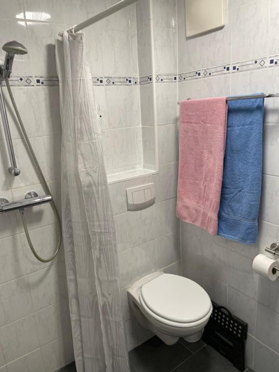 Koupelna v ubytování Haus Elvira