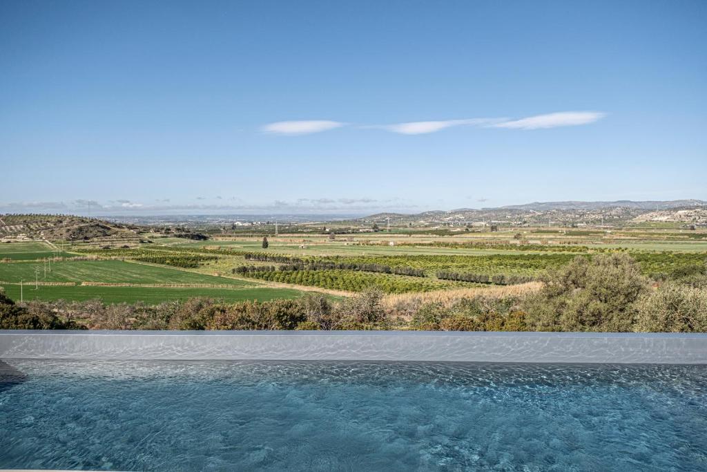 an infinity pool with a view of a vineyard and water at Tenuta le Menadi in Noto