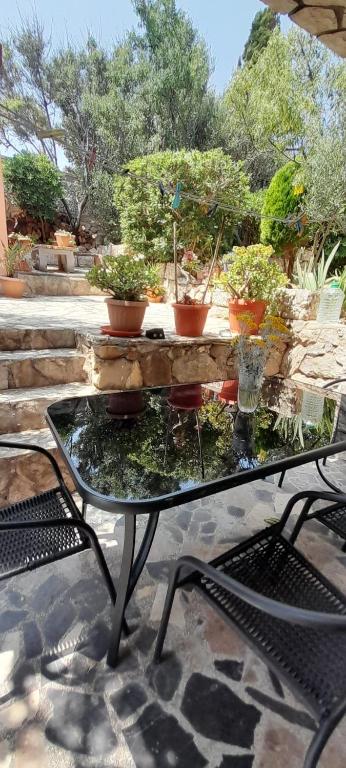 Zahrada ubytování Apartments Anka Pag