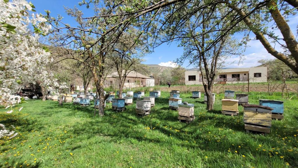 Jardí fora de Bee House