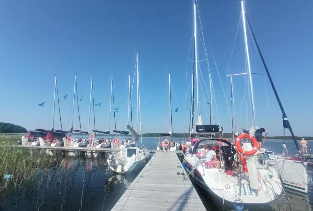 a group of boats are docked at a dock at Domy Trapera in Zdory