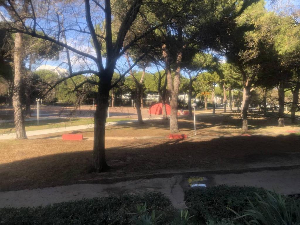 un parc avec un groupe d'arbres et une tente dans l'établissement Quartier Couchant Appartement studio pour 2 personnes N2 121, à La Grande Motte