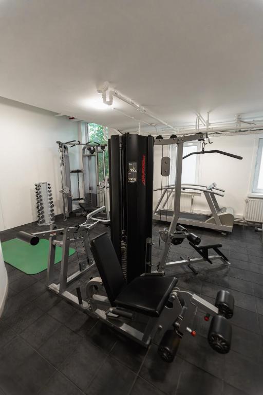 Fitness centrum a/nebo fitness zařízení v ubytování Hotel Orion