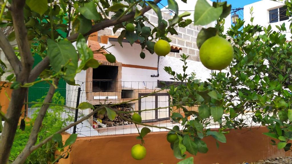 Το κτήριο όπου στεγάζεται  η παραθεριστική κατοικία