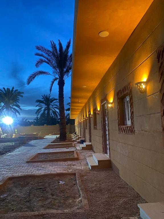 Nour El wadi