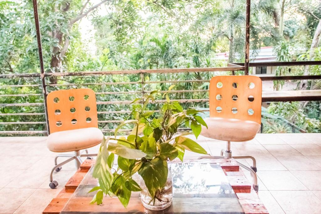 Balkón nebo terasa v ubytování KAHILOM Nest Self-Service Home in Rainforest Nest with Kitchen - Pet Friendly, Monkeys, Bats!