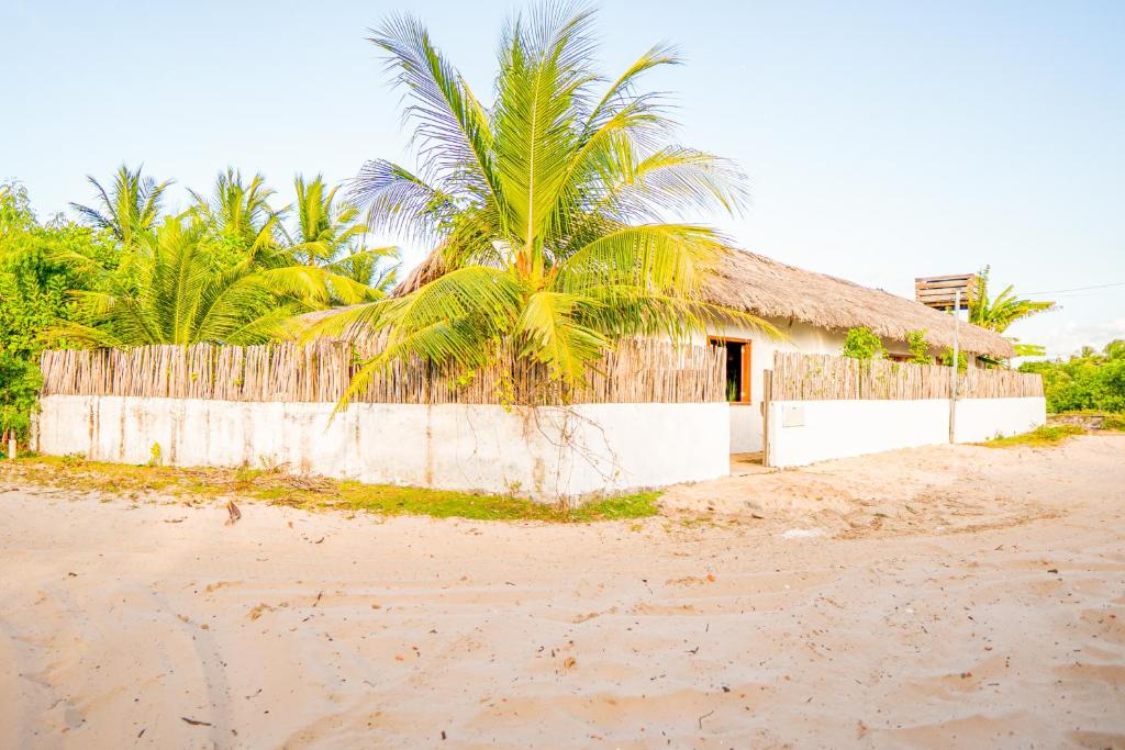 a house on the beach with a palm tree at Vila Vento in Atins