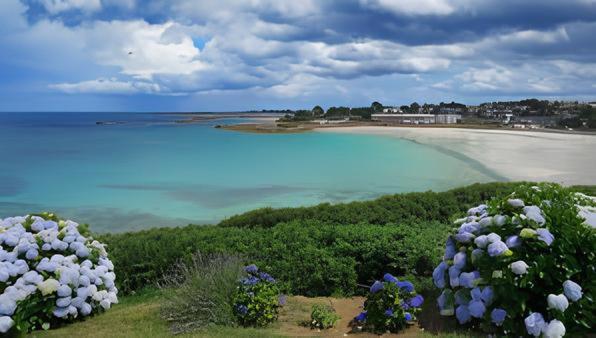 widok na plażę z niebieską wodą i kwiatami w obiekcie Gîte 2 personnes 700m de la plage w mieście Trévou-Tréguignec