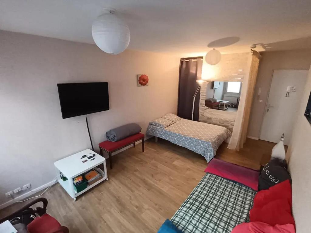 Televízia a/alebo spoločenská miestnosť v ubytovaní Studio charmant à Clermont-Ferrand, 31 m²