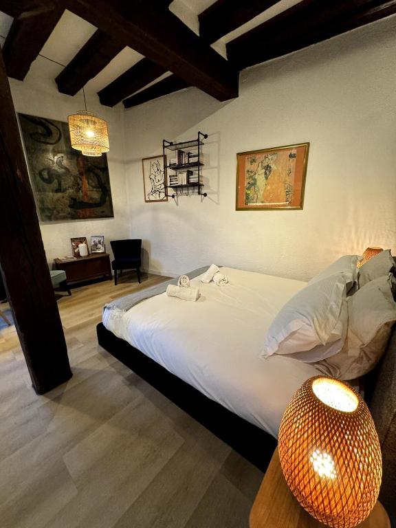 Les Suites Schwendi en Hypercentre – photo 16
