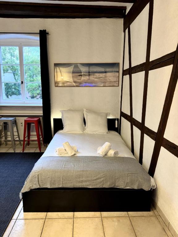 Les Suites Schwendi en Hypercentre – photo 18