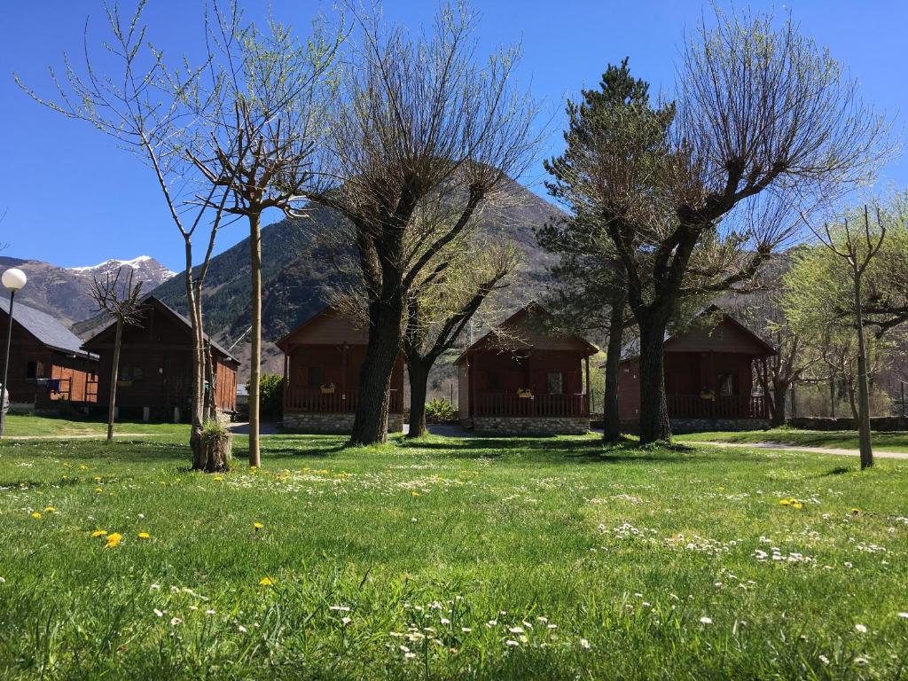 un campo de césped con árboles delante de una casa en Camping Boneta, en Barruera