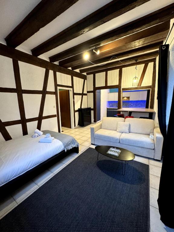Les Suites Schwendi en Hypercentre – photo 20