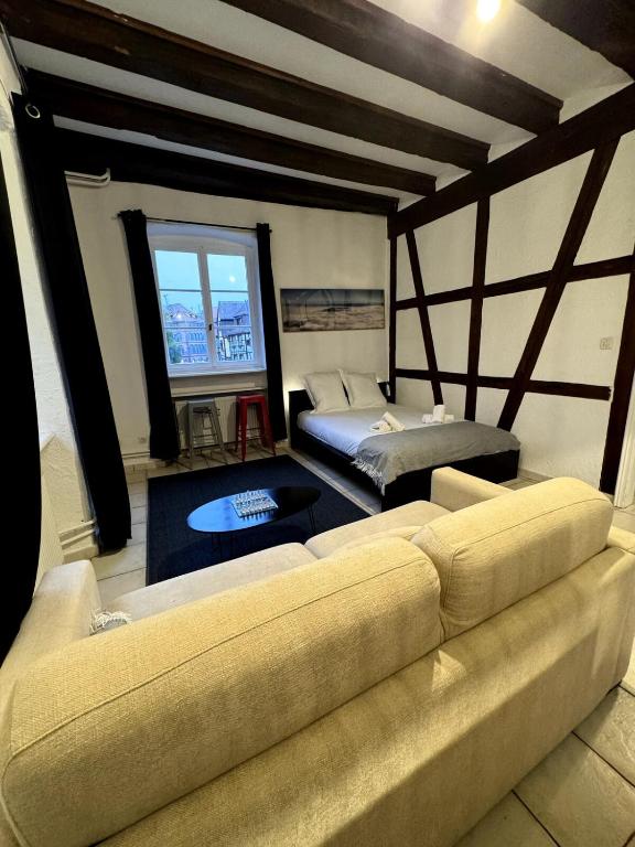 Les Suites Schwendi en Hypercentre – photo 27