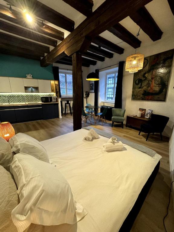 Les Suites Schwendi en Hypercentre – photo 29
