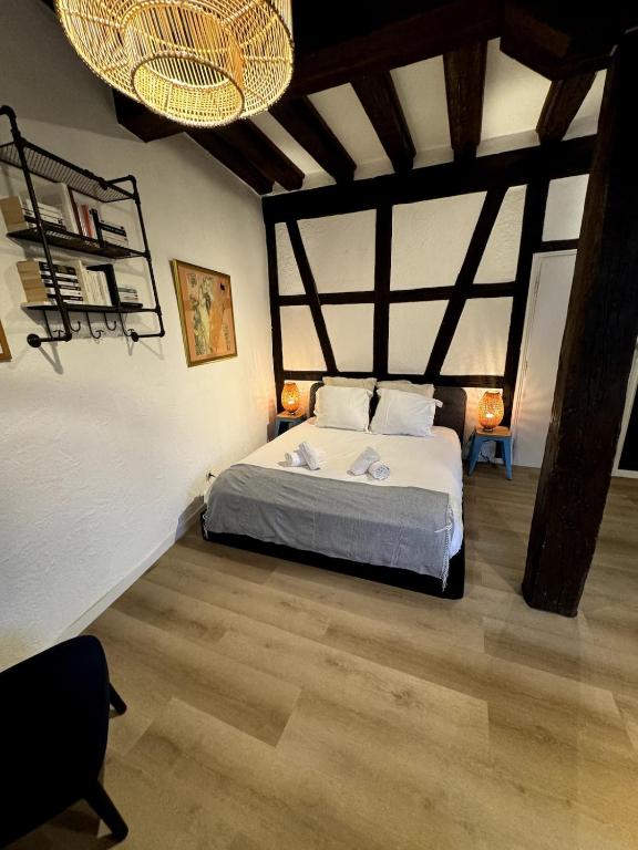 Les Suites Schwendi en Hypercentre – photo 31