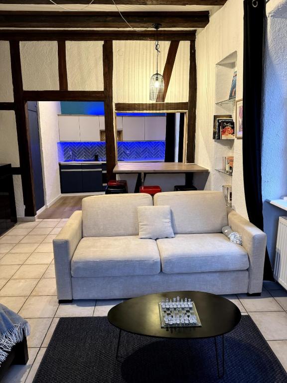Les Suites Schwendi en Hypercentre – photo 32