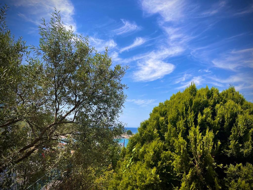 a group of trees in front of a blue sky at Dine Hotel in Ksamil