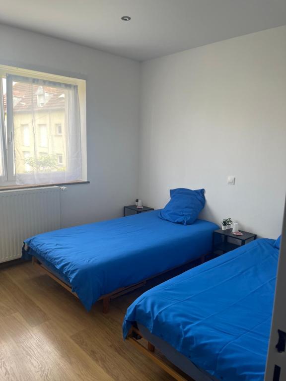 - 2 lits dans une chambre avec des draps bleus et une fenêtre dans l'établissement Les chambres de Marie, à Didenheim