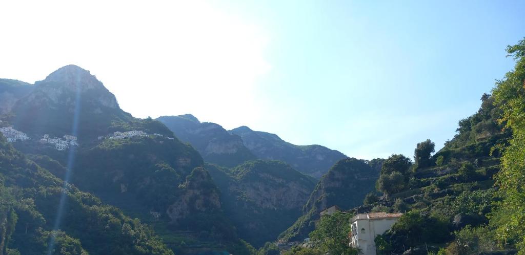 Φυσικό τοπίο κοντά σε αυτό το διαμέρισμα