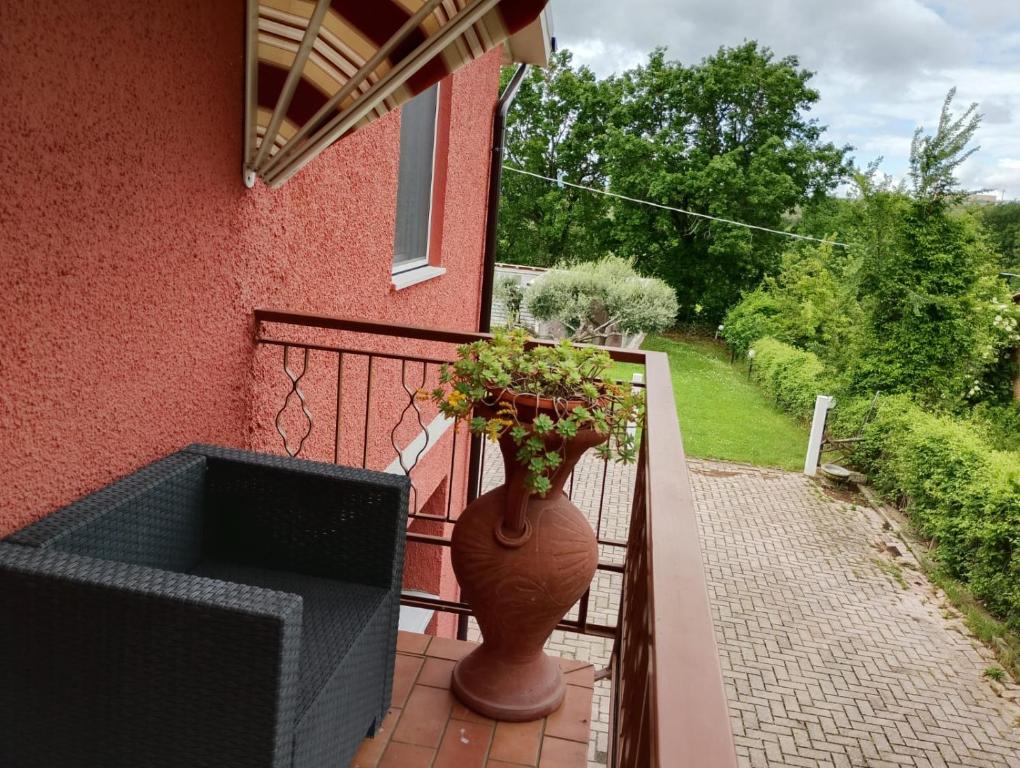 Zahrada ubytování FalcoBianco GuestHouse