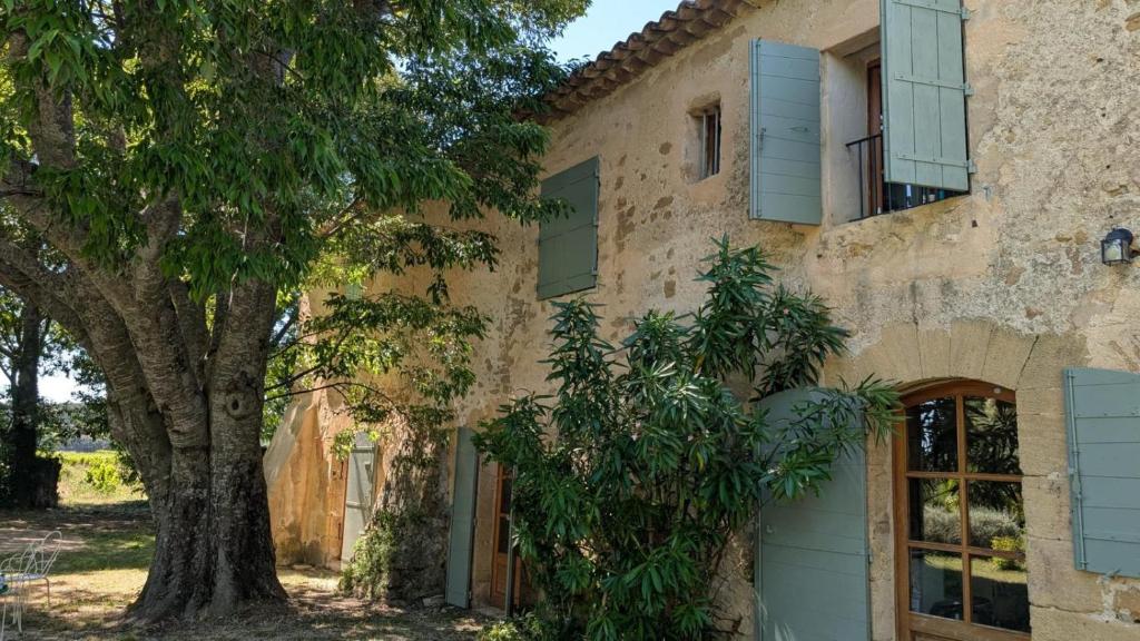 une vieille maison avec un arbre en face dans l'établissement Bastide Neuve au Cœur du Luberon - Piscine Privée, à Lauris