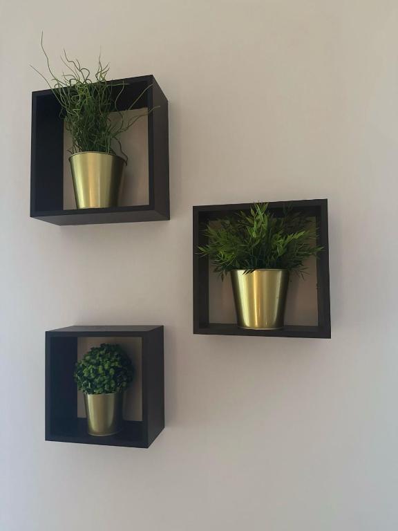 Hotel Eureka - Resim 29