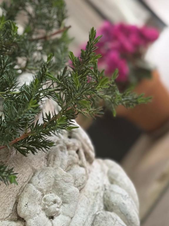 Hotel Eureka - Resim 30