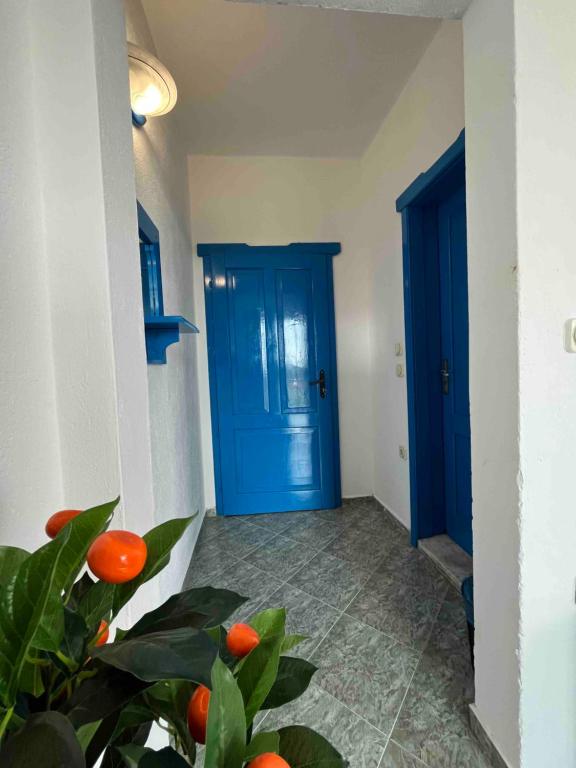 Fotografie z fotogalerie ubytování Hotel NEMO v destinaci Kiten
