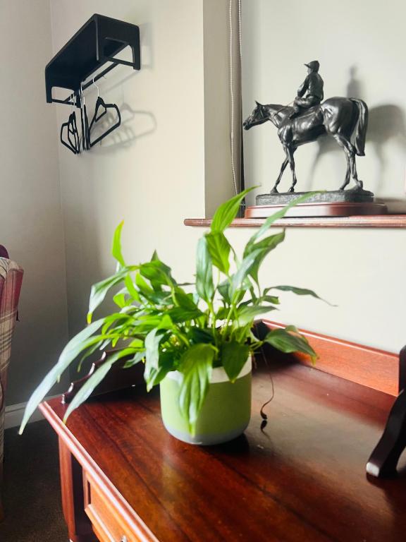 Fotografie z fotogalerie ubytování Acrewood House v destinaci Tara