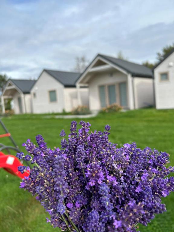 Vonkajšia záhrada v ubytovaní ŻURAWISKO - domki letniskowe Jarosławiec