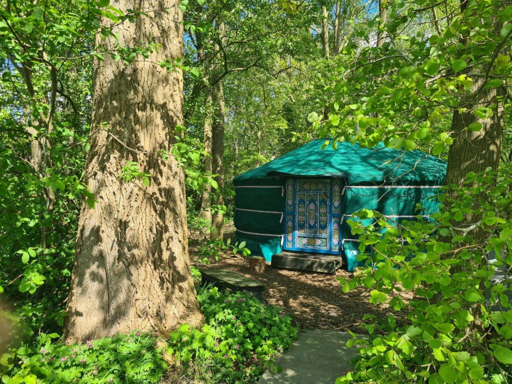 Een-WestにあるYurt in Drentheの森の中の青いテント