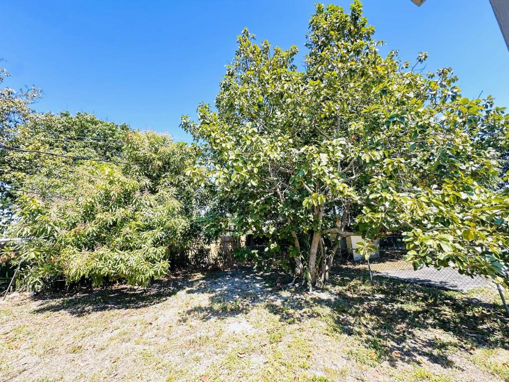 Κήπος έξω από το Miami Casa II