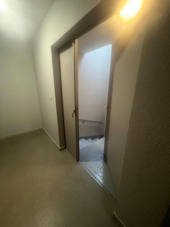 Sunny Loft Basel Airport Art Basel – photo 30