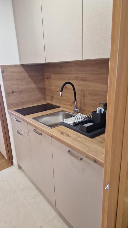 Kuchyň nebo kuchyňský kout v ubytování Apartmaji Z Fizine