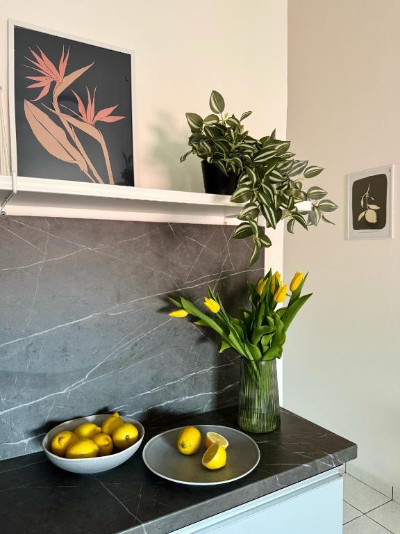 Fotografie z fotogalerie ubytování Apartments & Zimmer Jasmine v destinaci Funtana