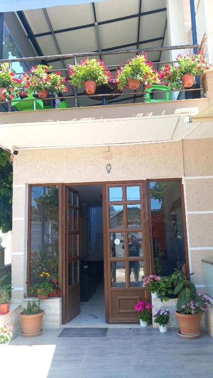 Exteriér nebo vchod ubytování Hotel Vila Flowers