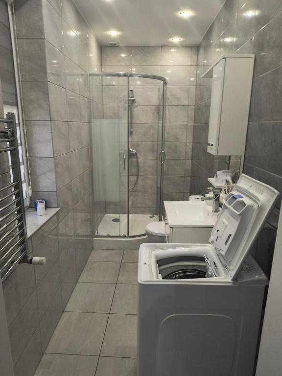 Kúpeľňa v ubytovaní Boszkowianka