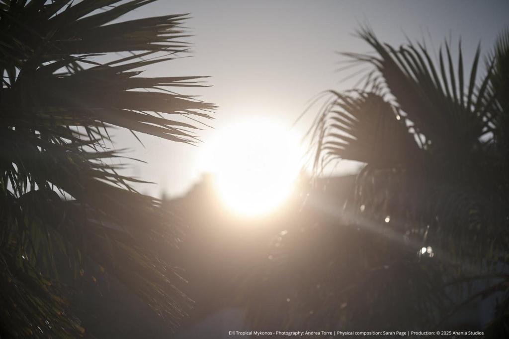 ELLI TROPiCAL LUXURY SUITES SUNSET-INFINITY POOL- SEA SIDE-NEAR CENTER PARKING - 10