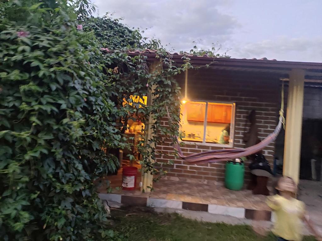 Zahrada ubytování Georgina's House hospedaje chachimbiro