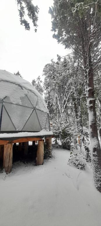 DOMOS GLAMPING Agreste Bahía Rosales