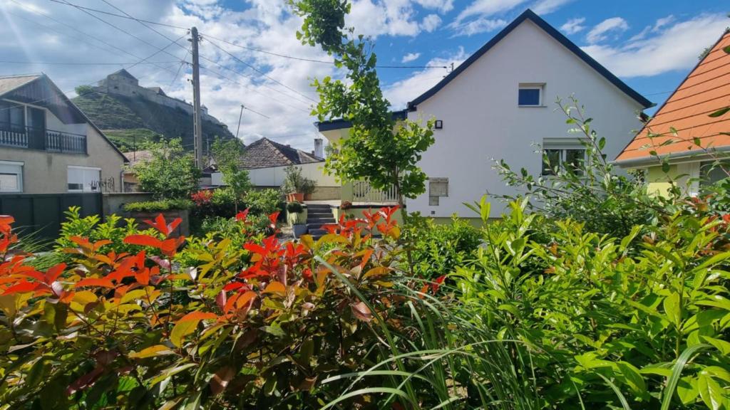 Zahrada ubytování Bökény-vendégház