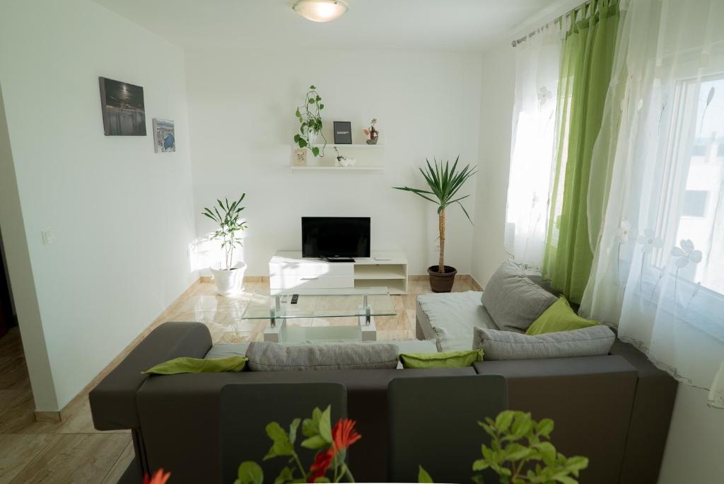 TV a/nebo společenská místnost v ubytování Apartmani Ružica